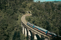 Ella by Train Private Tour (2 Days)