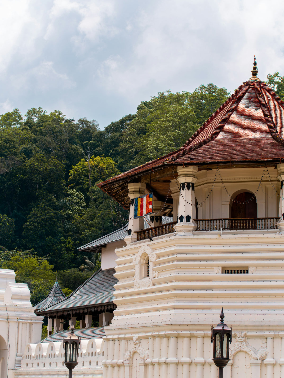 Kandy & Tea Country Private Tour (2 to 3 Days)