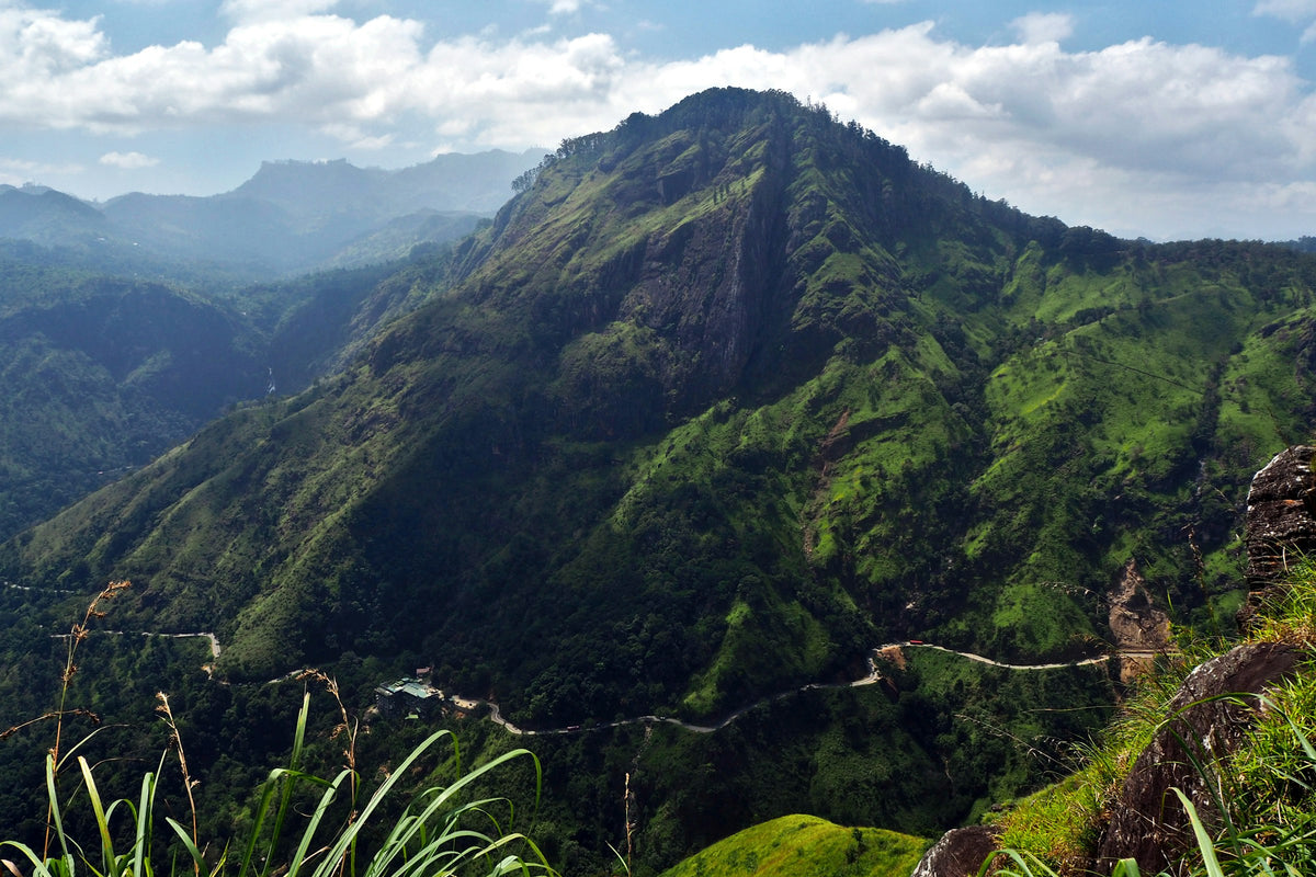 Kandy & Tea Country Private Tour (2 to 3 Days)