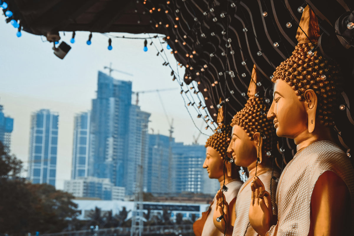 Negombo & Colombo Day Tour (Half or Full Day)