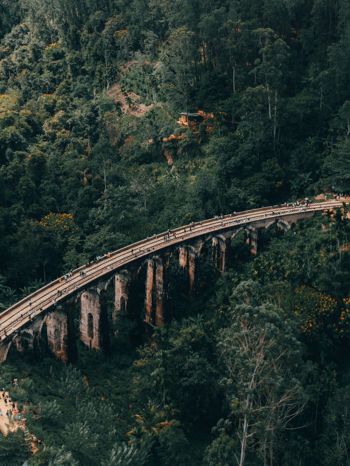 Ella by Train Private Tour (2 Days)